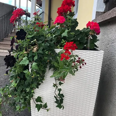 Art Chic - Your Exklusive Apartamento Grödig